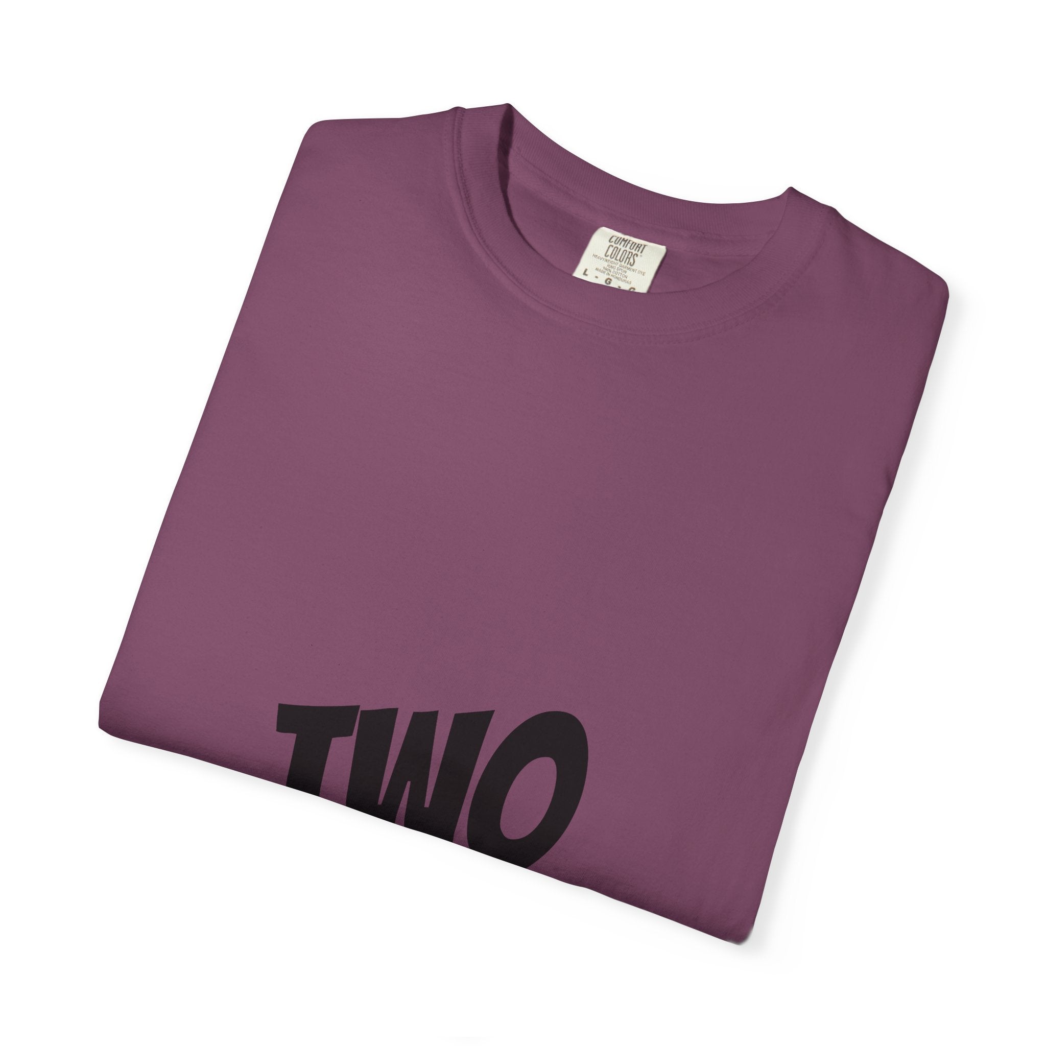 2 Years of Awesomeness T-Shirt
