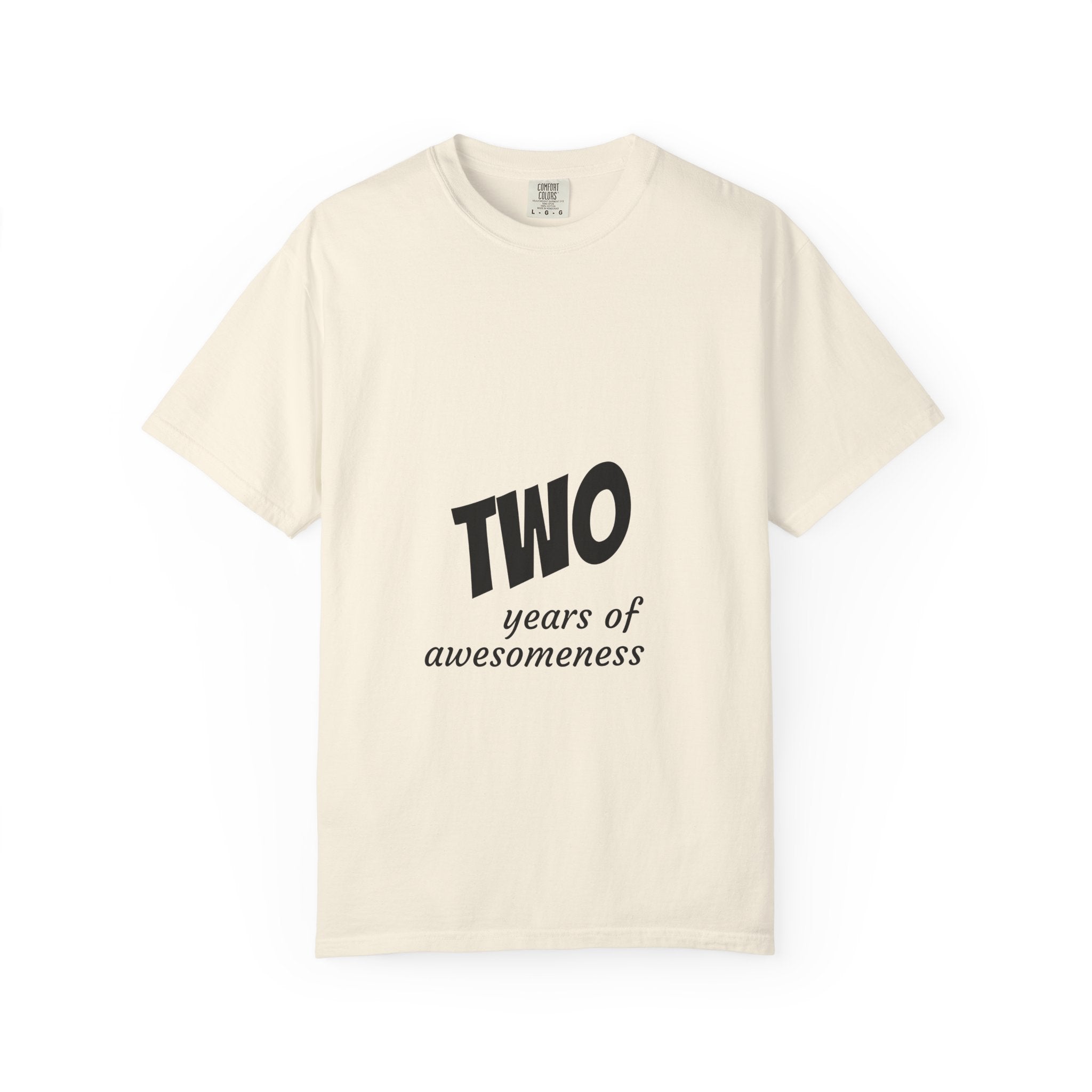 2 Years of Awesomeness T-Shirt