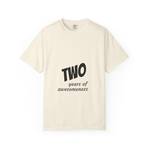 2 Years of Awesomeness T-Shirt