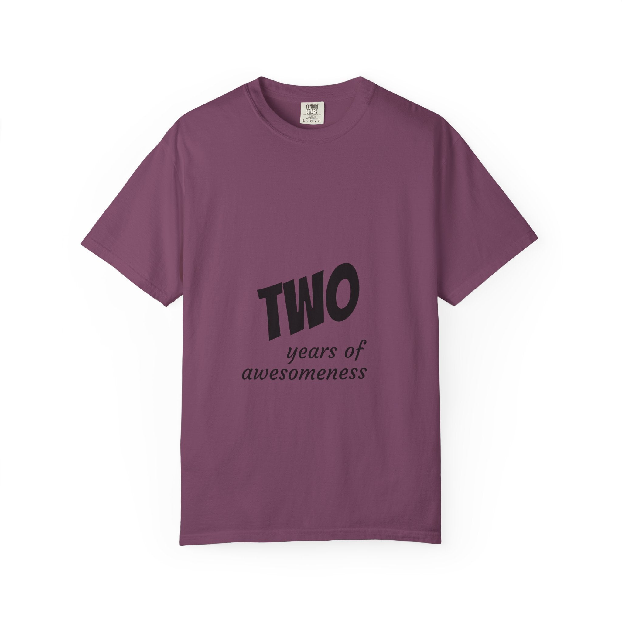 2 Years of Awesomeness T-Shirt
