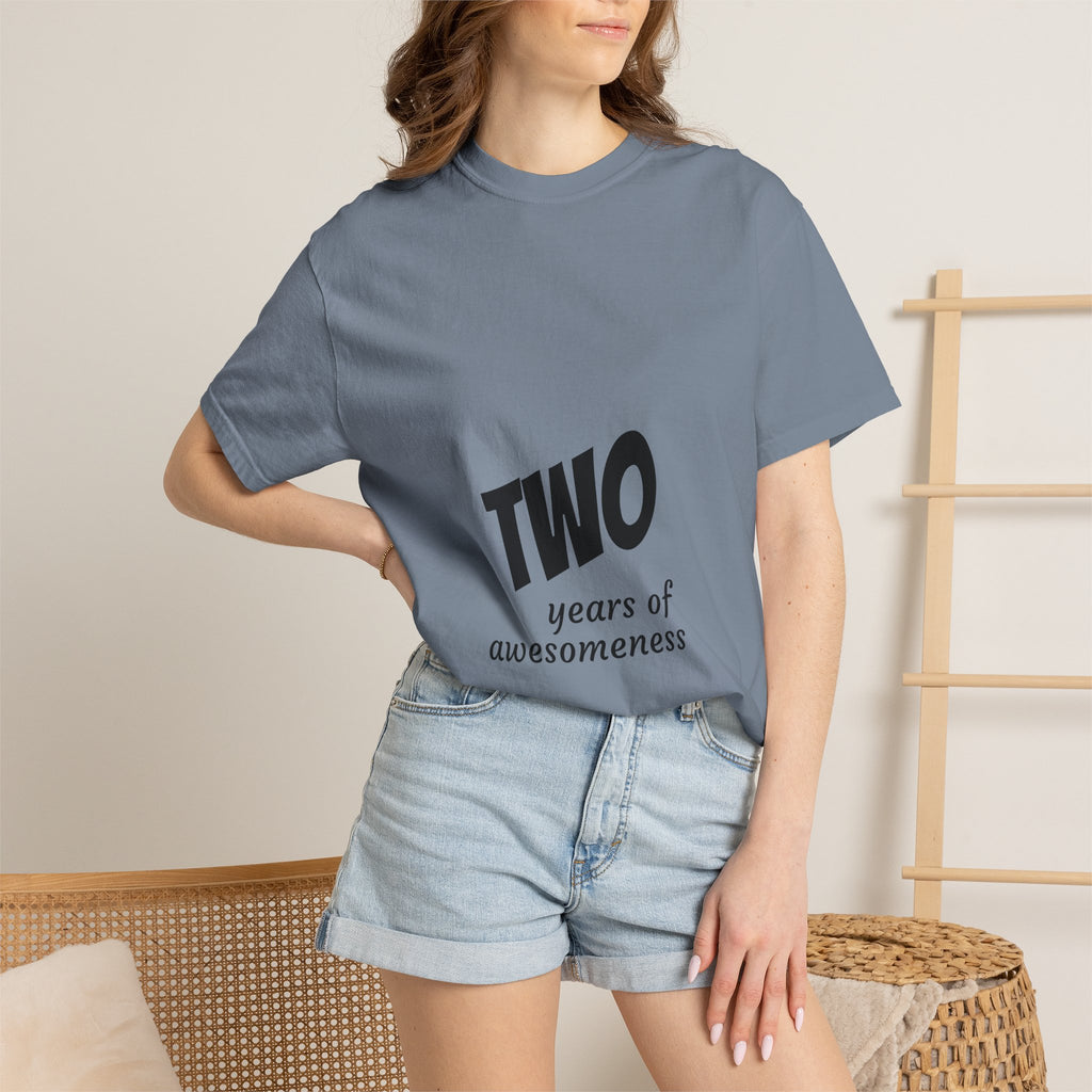 2 Years of Awesomeness T-Shirt