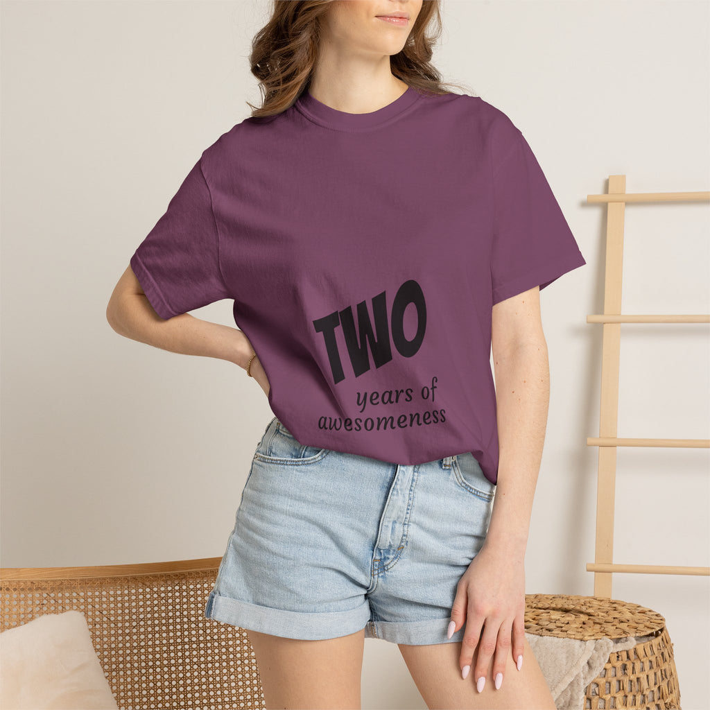 2 Years of Awesomeness T-Shirt